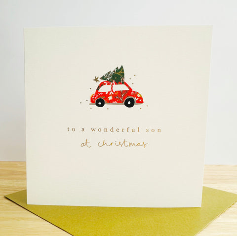 Winter Berries Xmas 2025