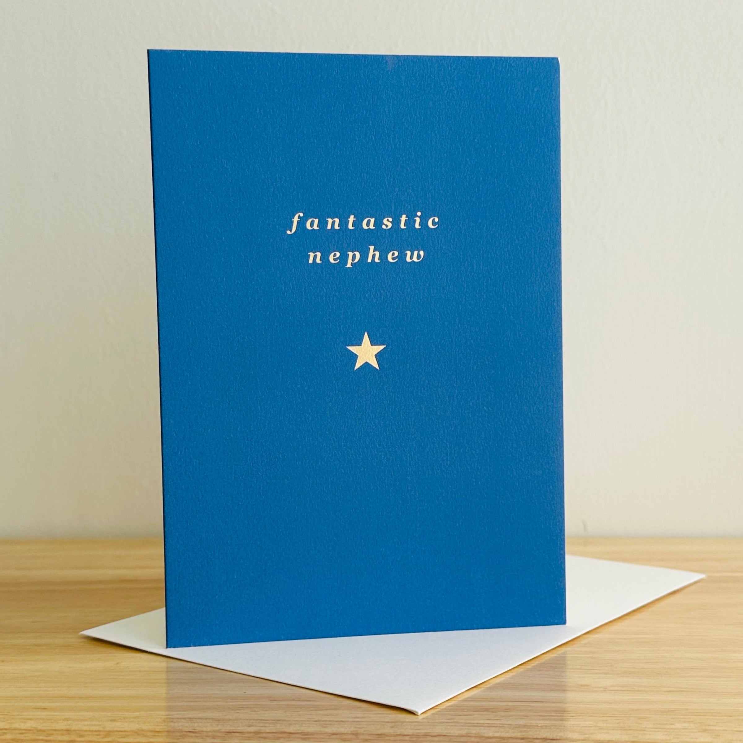 SAV15 - Fantastic Nephew