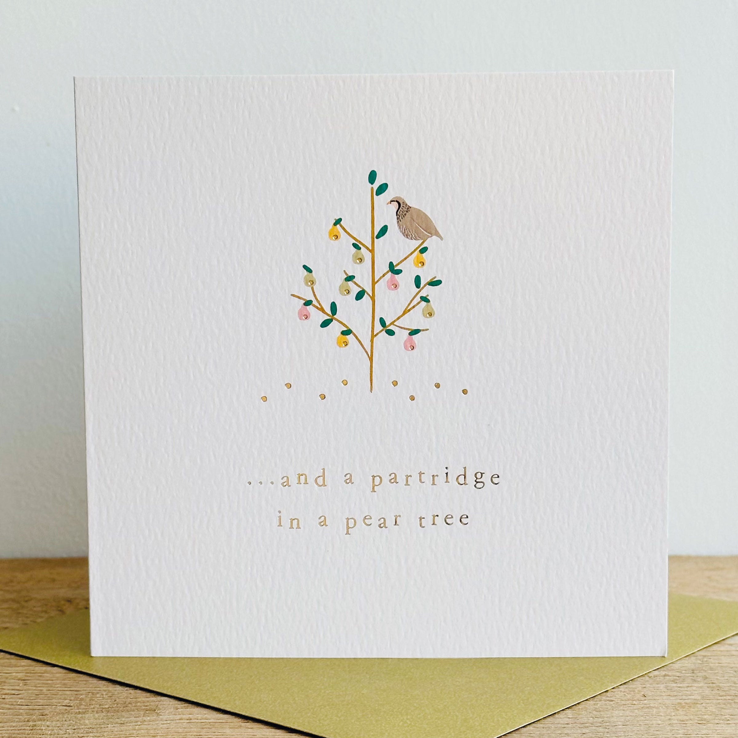 MLC24 Partridge In a Pear Tree