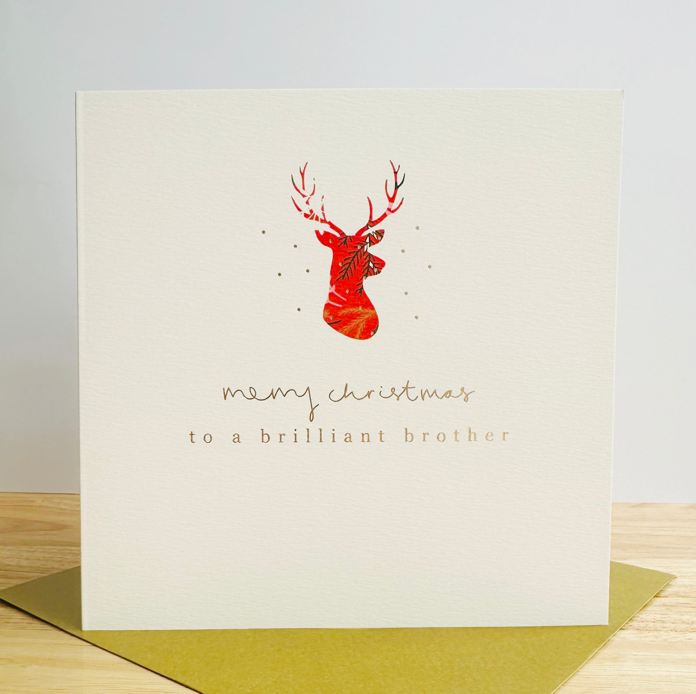 WB10 Brilliant Brother