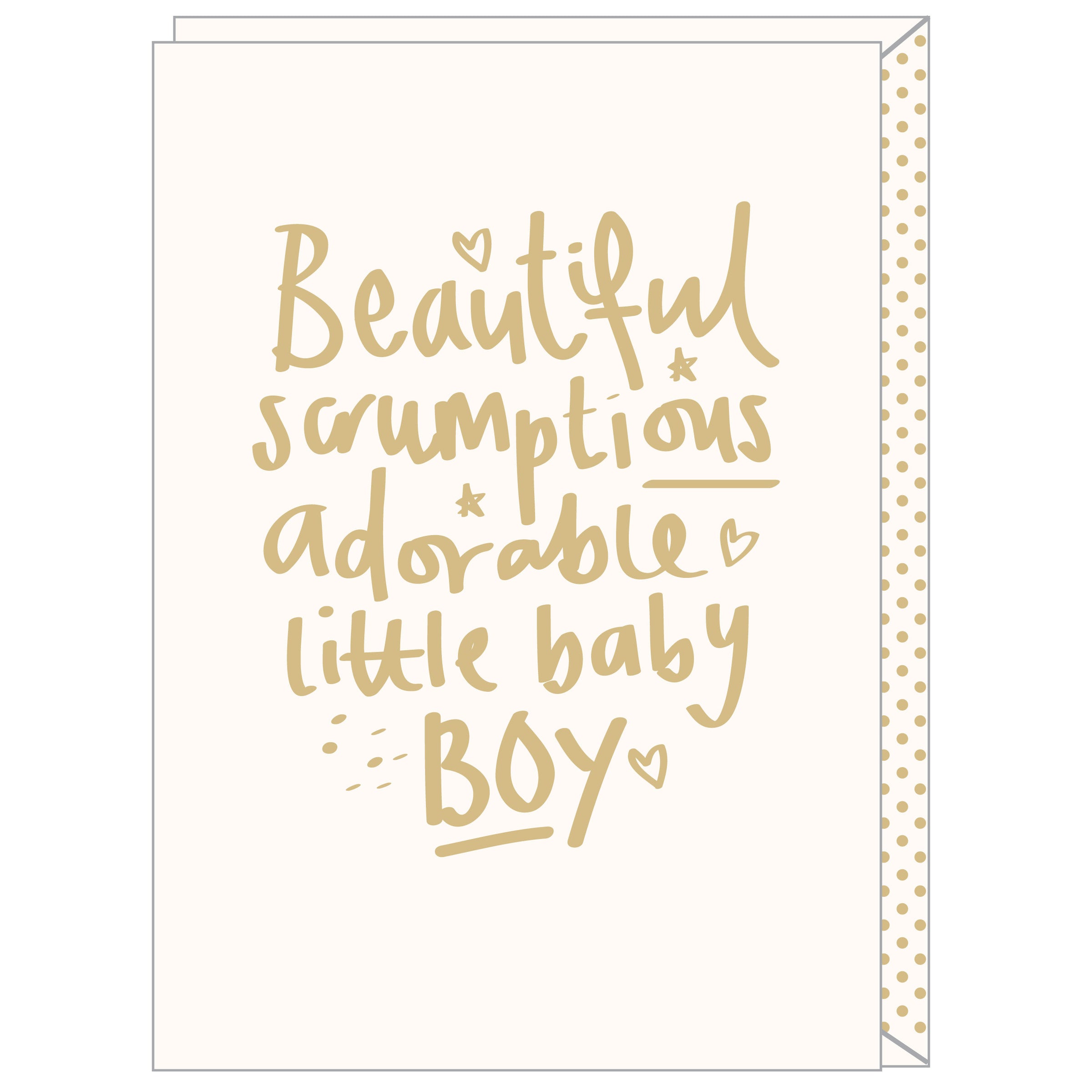 Adorable New Baby Boy BS05