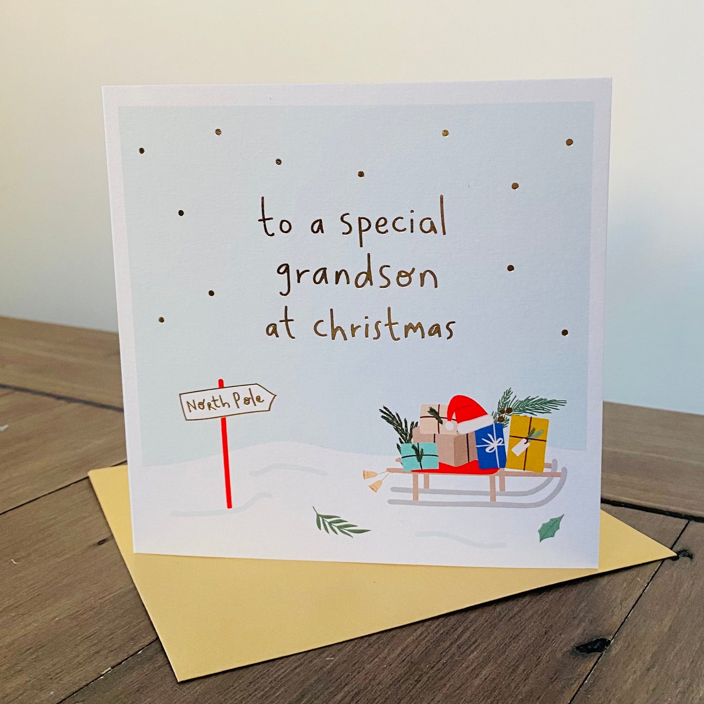 SF15 Special Grandson At Christmas