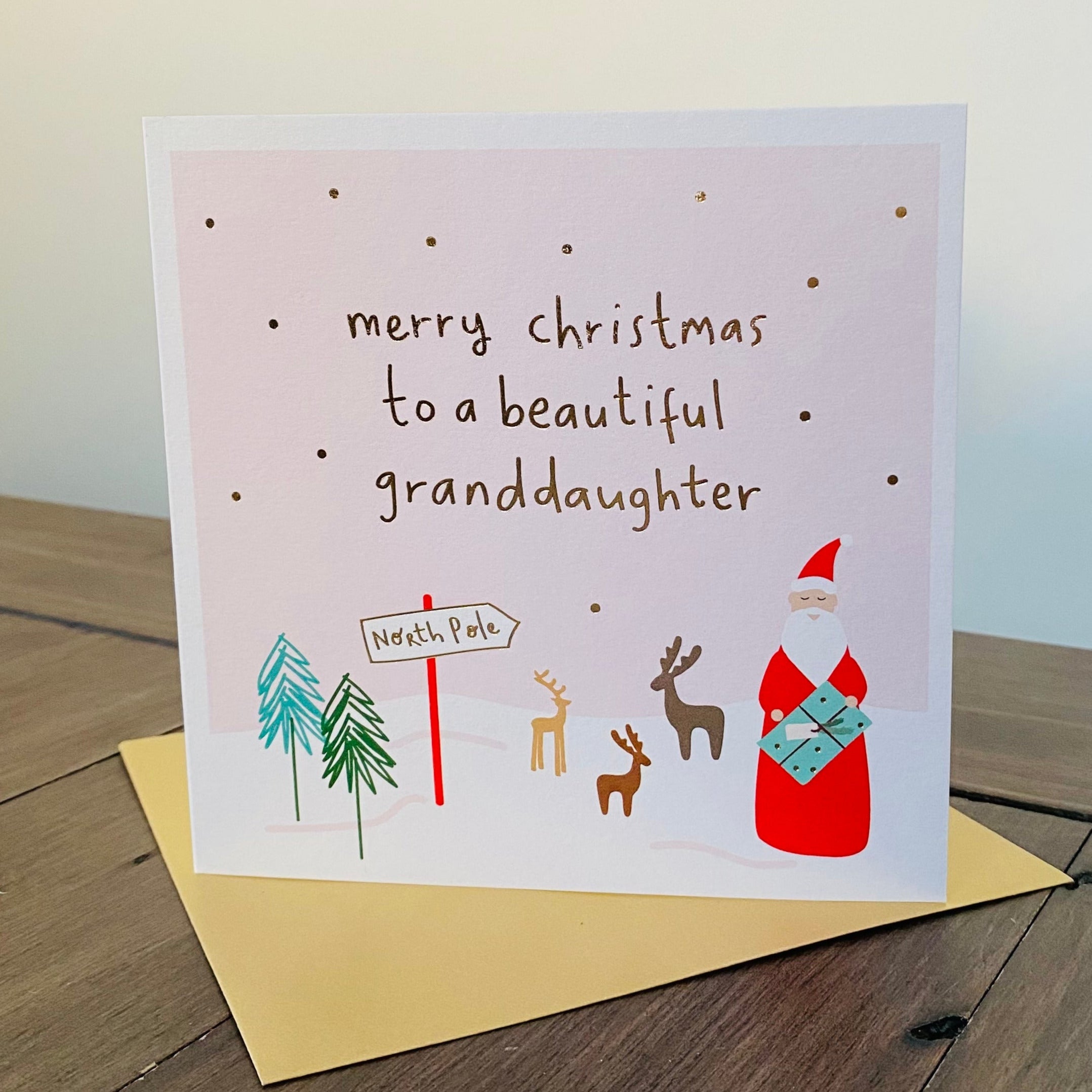 SF14 Beautiful Granddaughter At Christmas