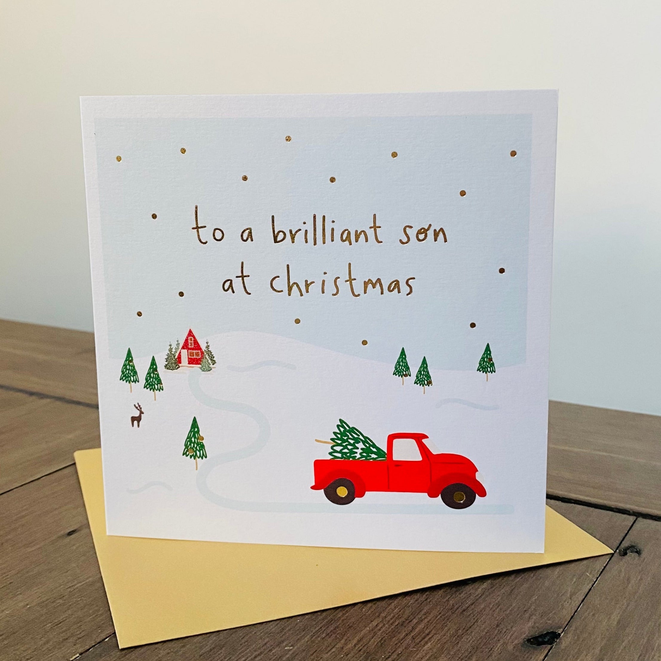 SF05 Brilliant Son At Christmas